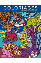 GRANDS COLORIAGES ANIMAUX MER