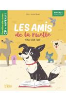 AMIS RUELLE-RITA SAIT LIRE N1