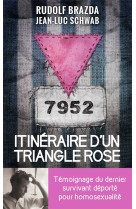 Itinéraire d'un triangle rose