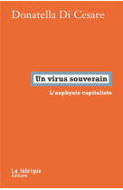 UN VIRUS SOUVERAIN - L ASPHYXIE CAPITALISTE