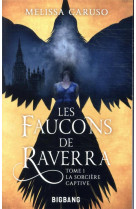 LES FAUCONS DE RAVERRA, T1 : LA SORCIERE CAPTIVE