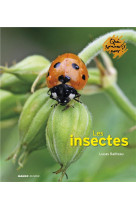 LES INSECTES