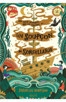 UN SOUPCON DE SORCELLERIE - UNE PINCEE DE MAGIE, TOME 2