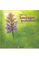 SAUVAGES ORCHIDEES [SOLDE]