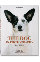 THE DOG IN PHOTOGRAPHY 1839 TODAY - EDITION MULTILINGUE