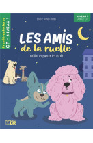 AMIS RUELLE- MILIE A PEUR NIV1