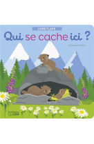 QUI SE CACHE ICI ANI. MONTAGNE