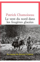 LE VENT DU NORD DANS LES FOUGERES GLACEES