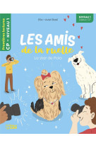 AMIS RUELLE - STAR DE POLO N1