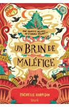 UN BRIN DE MALEFICE - UNE PINCEE DE MAGIE, TOME 3