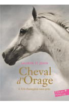 Cheval d'Orage