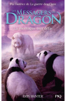 LES MESSAGERS DU DRAGON, CYCLE 1 - TOME 3 LA MONTAGNE AUX DEFIS - VOL03