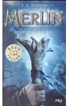 MERLIN - TOME 1 LES ANNEES OUBLIEES - VOL01