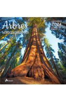 CALENDRIER ARBRES REMARQUABLES 2024