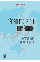 GEOPOLITIQUE DU NUMERIQUE : L-IMPERIALISME A PAS DE GEANTS