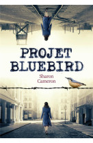 PROJET BLUEBIRD