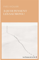 A QUOI PENSENT LES SAUMONS ?