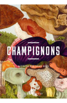 Champignons - Secrets des sous-bois