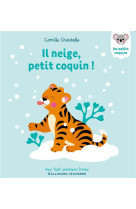 IL NEIGE, PETIT COQUIN !