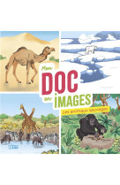 MON DOC EN IMAGES - T03 - LES ANIMAUX SAUVAGES