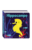 HIPPOCAMPE