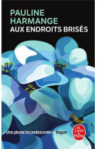 AUX ENDROITS BRISES