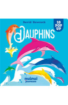 SAISISSANTS POP-UP - DAUPHINS