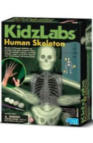 KIDZLABS?SQUELETTE HUMAIN PHOSPHORESCENT