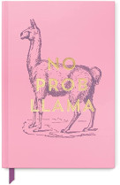 CARNET NO PROB LLAMA