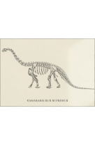 AFFICHE DINOSAURES SQUELETTE DE CAMARASAURUS - DIN0001