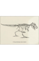 AFFICHE DINOSAURES SQUELETTE DE T-REX - DIN0005