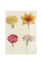 AFFICHE FLEURS COMPOSITION DE FLEURS - FLE0011