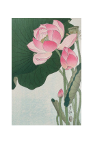 AFFICHE ESTAMPES JAPONAISES FLEURS DE LOTUS - JKO0003