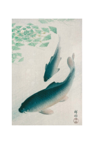 AFFICHE ESTAMPES JAPONAISES CARPES KOI - JKO0006