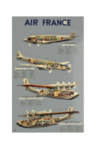 AFFICHE AIR FRANCE LEGEND AVIONS ET HYDRAVIONS D-ENTRE-DEUX-GUERRES AFL0180 50X70 EN TUBE