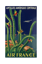 AFFICHE AIR FRANCE LEGEND ANTILLES - AMÉRIQUE CENTRALE, CACTUS AFL0031 30X40 EN POCHETTE GIFT