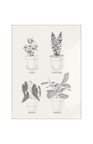 AFFICHE VÉLIN LES PLANTES EN POT  ATELIER DAZAT 2022 - 60X80 EN TUBE