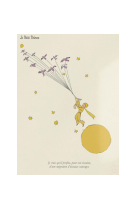 AFFICHE LE PETIT PRINCE EVASION LPP0004 30X40 EN POCHETTE GIFT