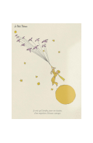 AFFICHE LE PETIT PRINCE EVASION LPP0004 50X70 EN TUBE