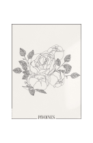 AFFICHE ATELIERDAZAT PIVOINES DZT0002 30X40 EN POCHETTE GIFT