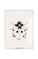 AFFICHE ATELIERDAZAT COCCINELLE - DZT0011