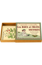 J-APPRENDS LES BAIES ET FRUITS SAUVAGES