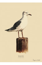 MOUETTE