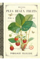 CAHIER IMAGIER / LES FRUITS