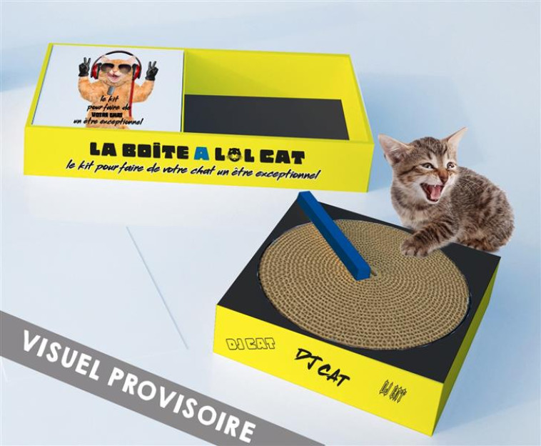 LA BOITE A LOL CAT - NEILLON LE-G - Hachette Pratique