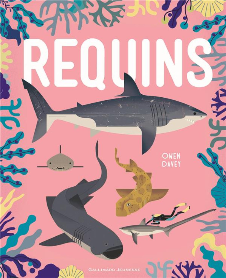 REQUINS - DAVEY OWEN - Gallimard-Jeunesse