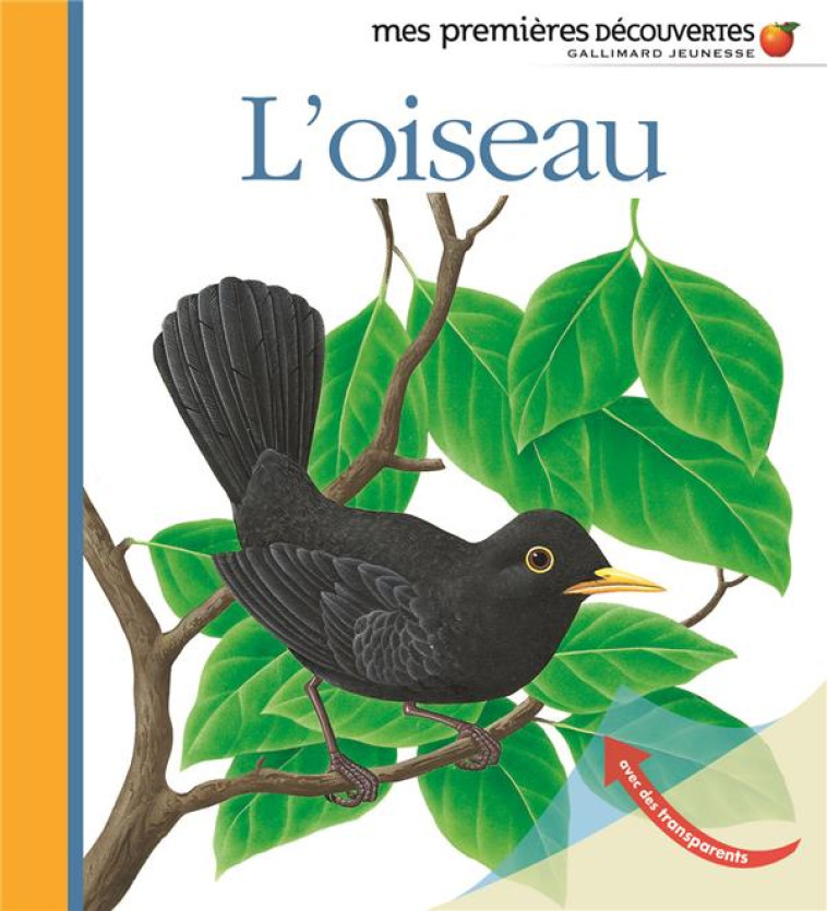 L'OISEAU - COLLECTIF/METTLER - GALLIMARD