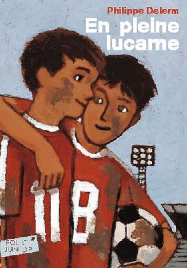 EN PLEINE LUCARNE - DELERM PHILIPPE - GALLIMARD