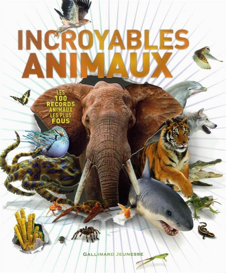 INCROYABLES ANIMAUX - HARVEY DEREK - Gallimard-Jeunesse