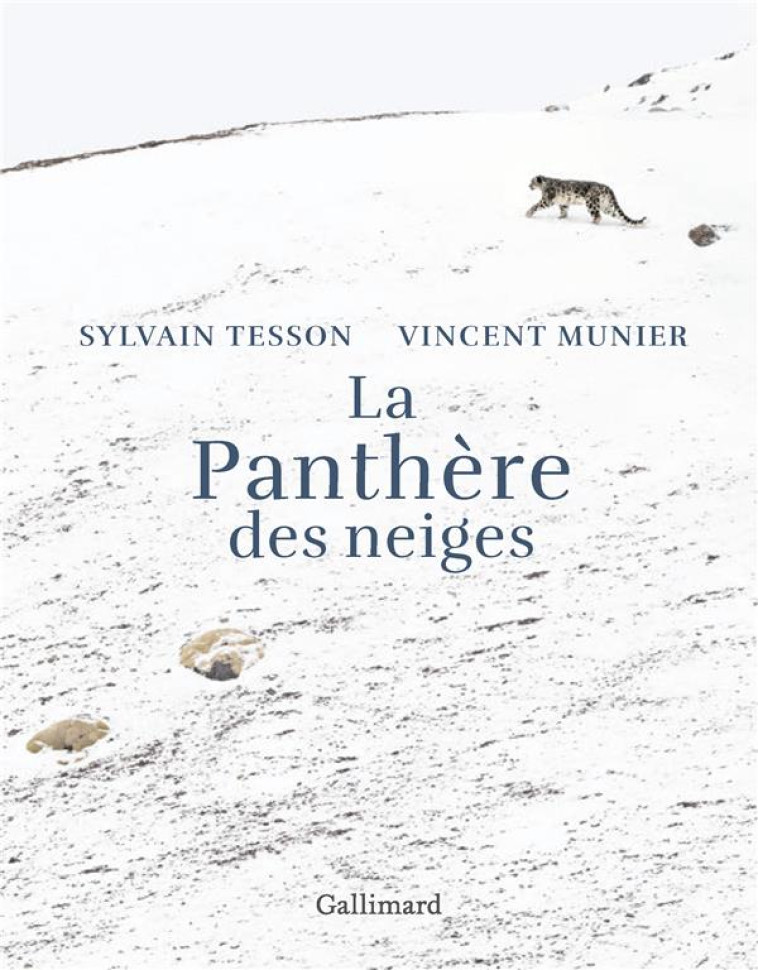 LA PANTHERE DES NEIGES - MUNIER/TESSON - GALLIMARD